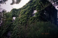 th-8_4_v7.jpg