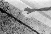 th-8_hand1.jpg