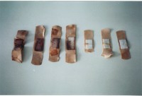 th-9_4_blood1.jpg