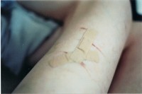 th-9_4_blood2.jpg